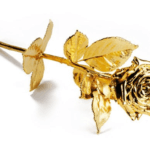 vergoldete Rose Degusa